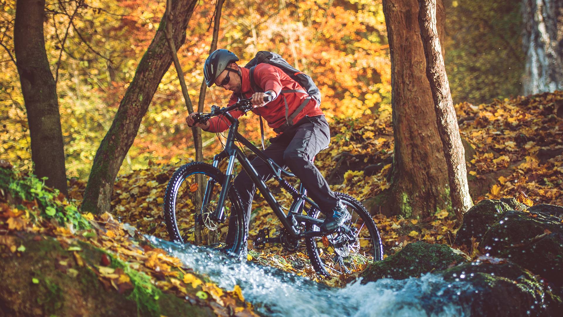 mtb schutzbleche 29 zoll MTB Schutzblech perfekt fr 24-29 Bikes
